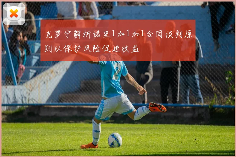 克罗宁解析诺里1加1加1合同谈判原则以保护风险促进收益