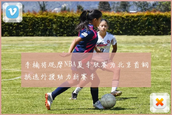 李楠将观摩NBA夏季联赛为北京首钢挑选外援助力新赛季